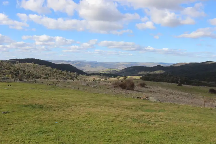 Fifth view of Homely land listing, 3494 Freemantle Road, Gowan NSW 2795