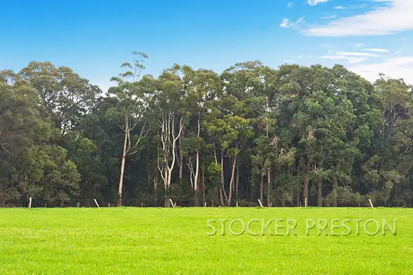 Third view of Homely rural property listing, P/L 101 WEST RD, Cowaramup WA 6284