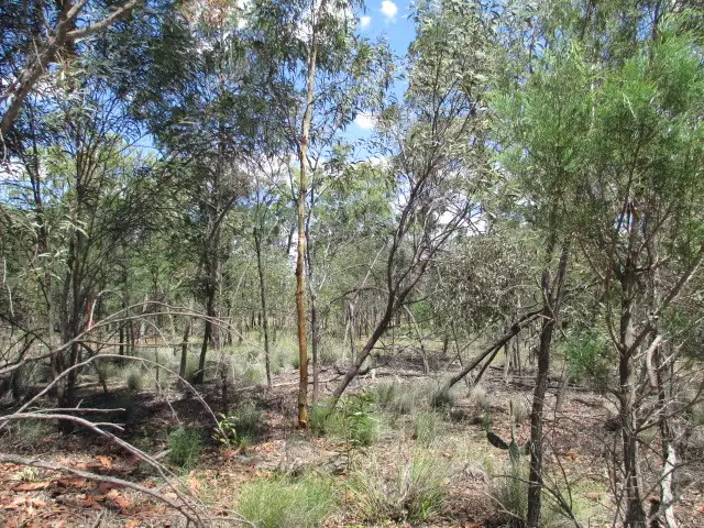 LOT 80 McKEE DRIVE, Tara QLD 4421