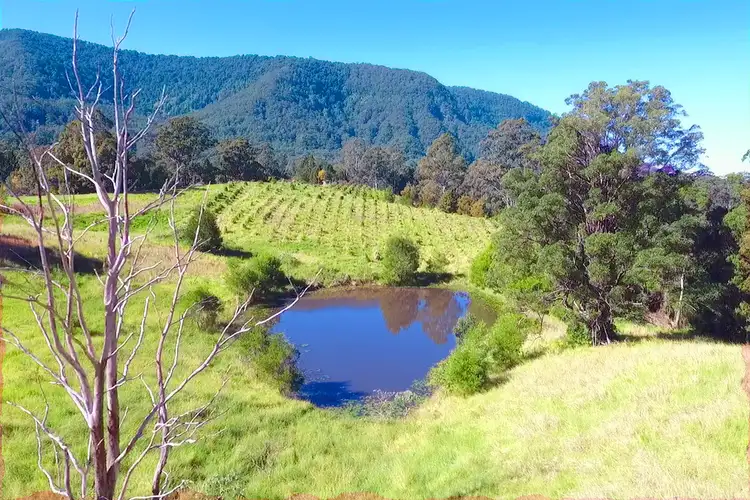 Second view of Homely rural property listing, 839 Blue Knob Road, Blue Knob NSW 2480