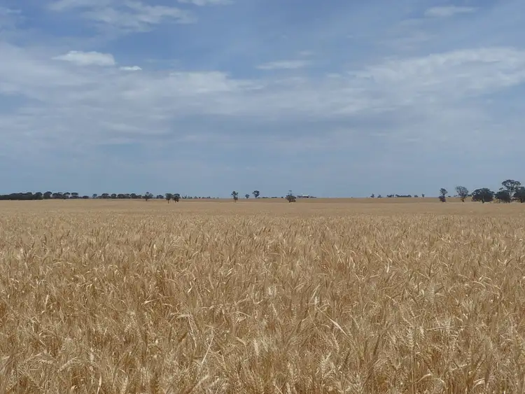 Sixth view of Homely rural property listing, 781 Leeor Road, Lillimur via, Kaniva VIC 3419