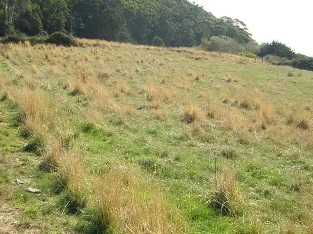 Fourth view of Homely land listing, 15411 Bass Highway, Somerset TAS 7322