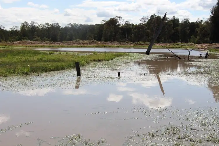 Seventh view of Homely rural property listing, 0 Boondandilla  Rd, Goondiwindi QLD 4390