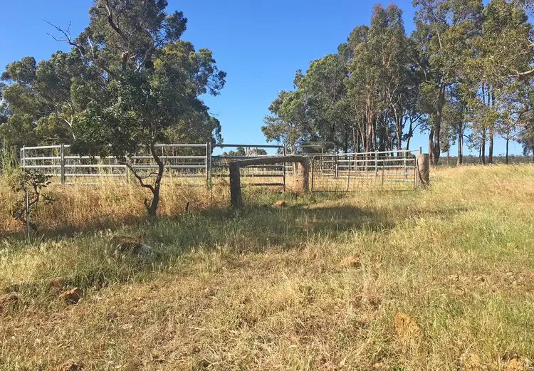 Sixth view of Homely rural property listing, 3988 Jalbarragup Road, Walsall WA 6280
