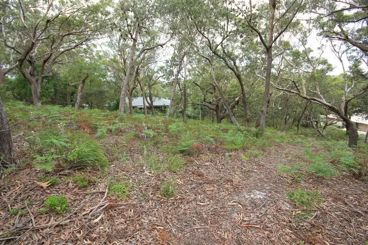 Main view of Homely land listing, 12 Birramal Drive, Dunbogan NSW 2443