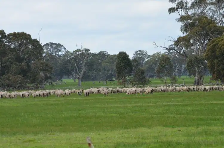 Second view of Homely rural property listing, 1495 Wimmera Highway, Apsley VIC 3319