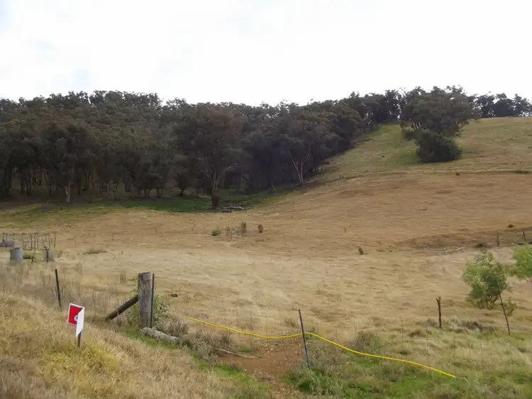 Second view of Homely rural property listing, 1381 Cassilis Road, Cassilis VIC 3898