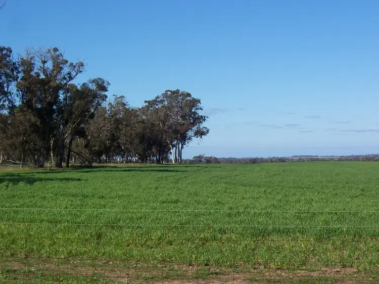 Lot 71 Pindellup Road, Tambellup WA 6320