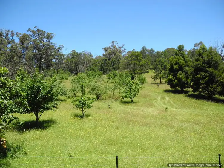 Seventh view of Homely rural property listing, 2613 Gelantipy Road, W Tree VIC 3885
