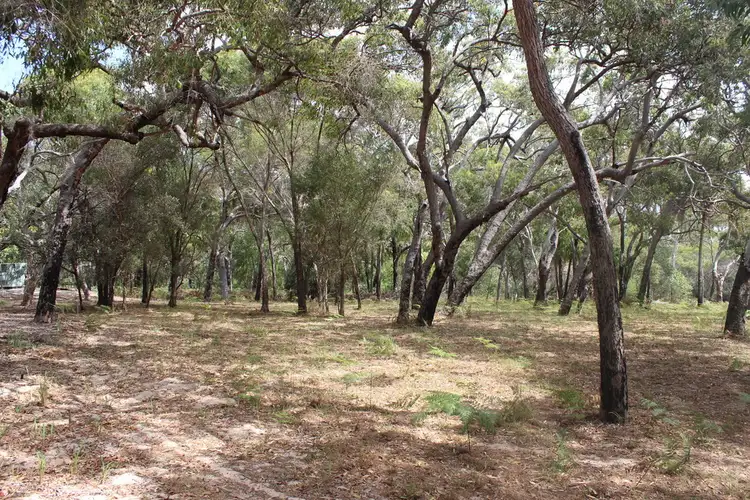129 Springs Rd Bloodwood Sth Sunrise, Agnes Water QLD 4677