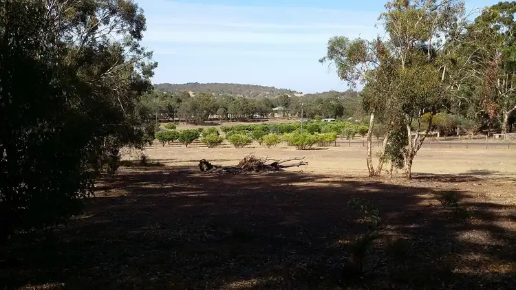Seventh view of Homely rural property listing, 307 Jess Road, Bullsbrook WA 6084