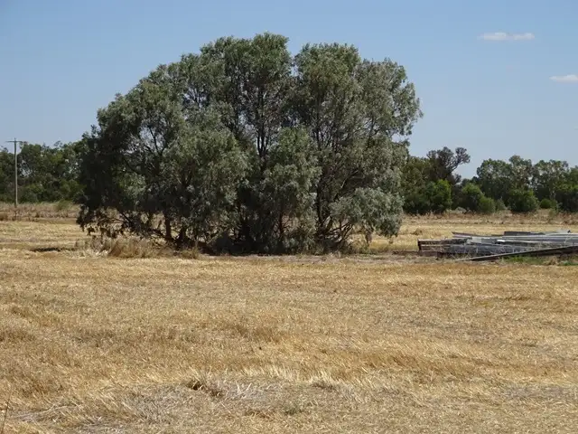 Second view of Homely rural property listing, Lot 2 Moorabinda Road, Torrumbarry VIC 3562