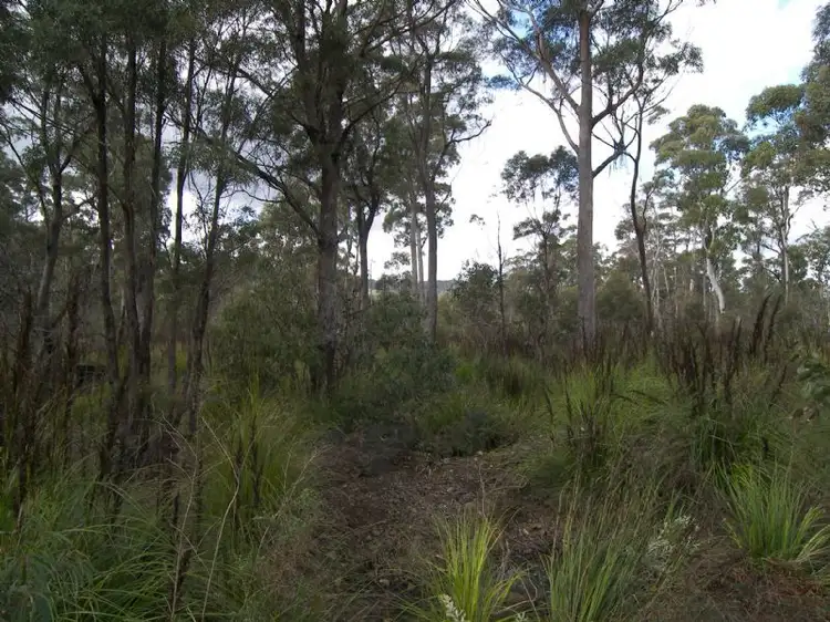 Third view of Homely rural property listing, 442 Prossers Road, Nunamara TAS 7259