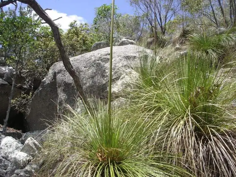 Lot 155 Capricornia Drive