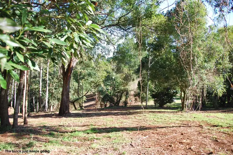 Sixth view of Homely land listing, 132 MacDonnell Road, Tamborine Mountain QLD 4272