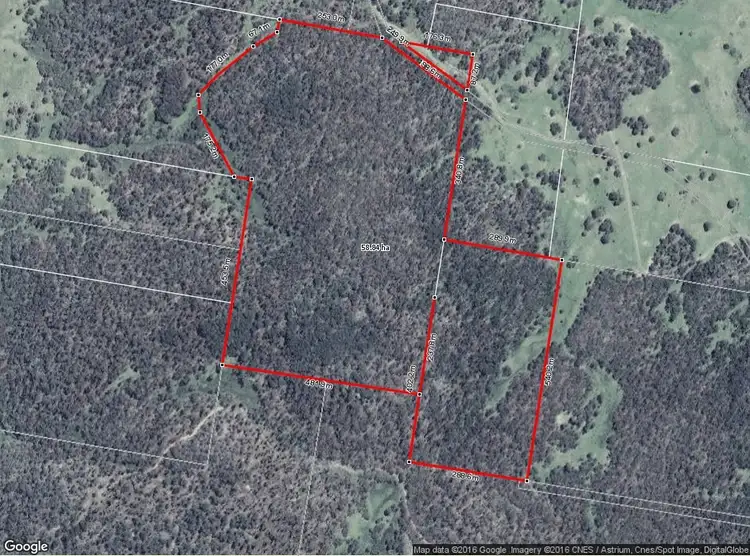 Fifth view of Homely rural property listing, 345 Kybeyan Road, Nimmitabel NSW 2631