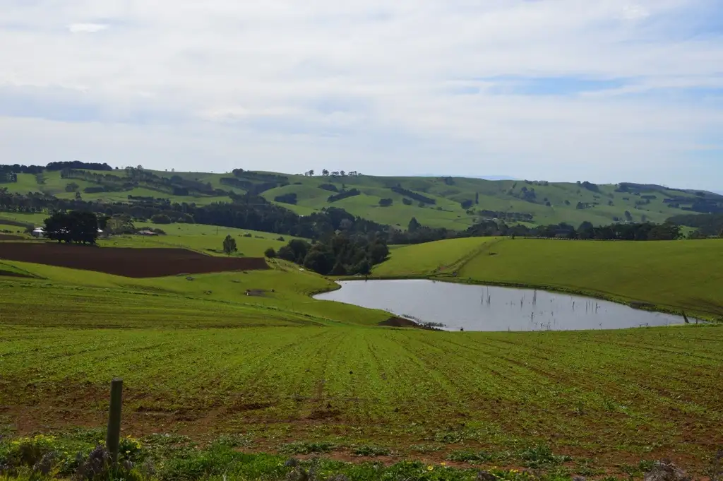 Main view of Homely rural property listing, 855 Boolarra South- Mirboo North, Mirboo North VIC 3871