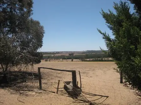 Second view of Homely house listing, 323 (Lot 4841) Collie-Changerup Rd, Mokup, Changerup WA 6394