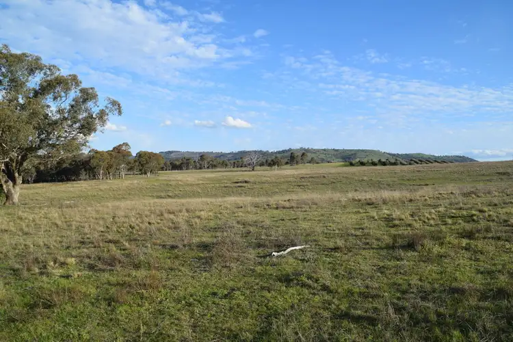 Seventh view of Homely rural property listing, 261 Mossy Rock Lane, Mudgee NSW 2850