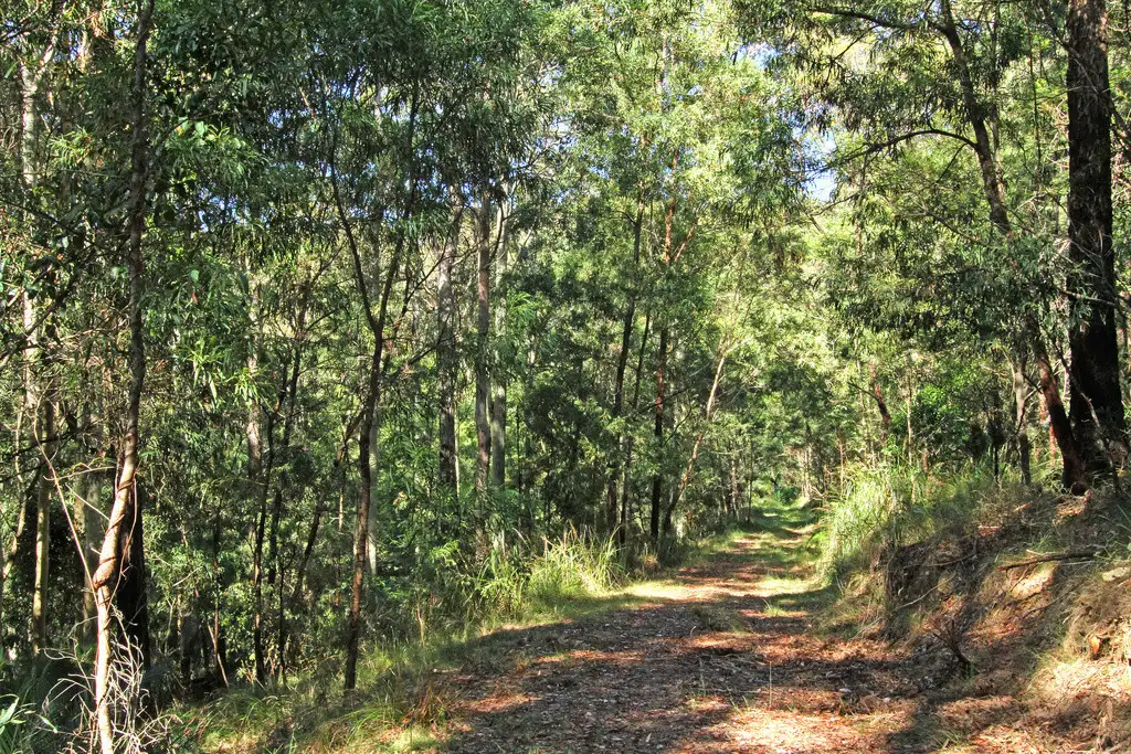Main view of Homely land listing, Lot 4 Tallgums Way, Surf Beach NSW 2536