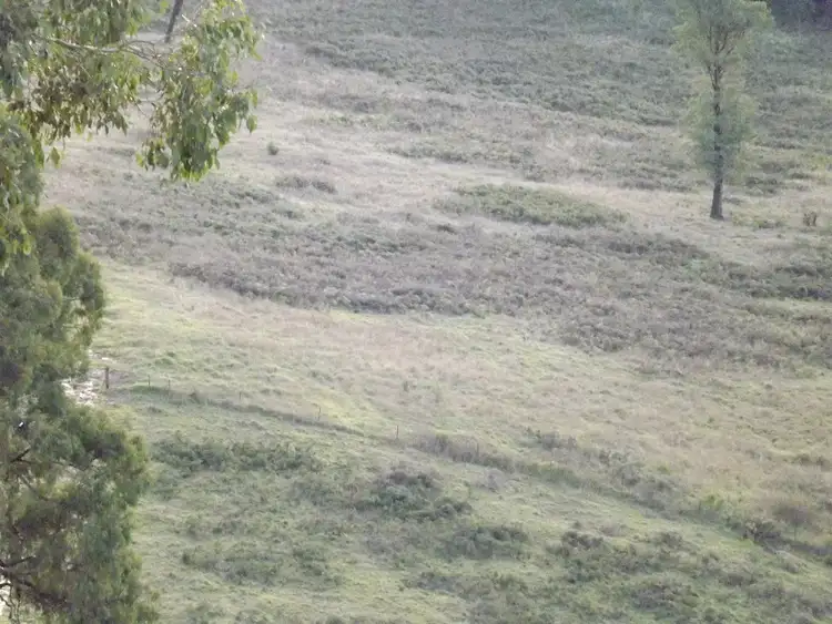 Second view of Homely rural property listing, 317 GARNETS TRACK / JARRAMOND, Orbost VIC 3888