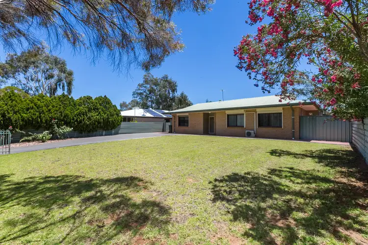 10 Bokhara Street, Larapinta NT 875