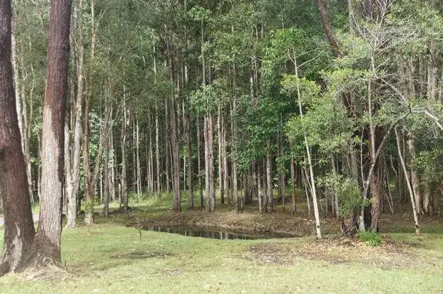 Second view of Homely land listing, 9 Crab Apple Court, Black Mountain QLD 4563