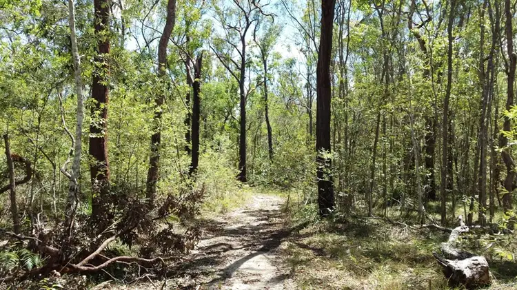 Main view of Homely rural property listing, Lot 7 Rogan Bridge Road, Copmanhurst NSW 2460