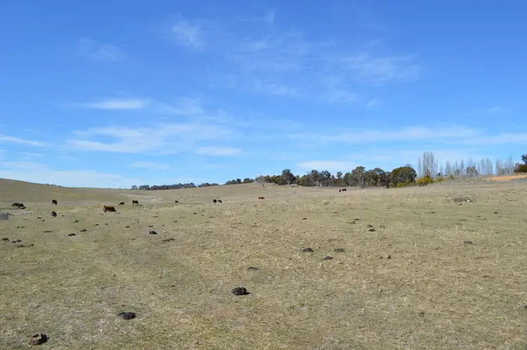 Third view of Homely rural property listing, 147 Collector Road, Gunning NSW 2581