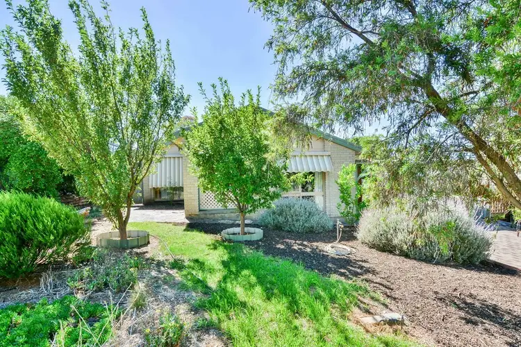 14 Dickerson Crescent, Trott Park SA 5158