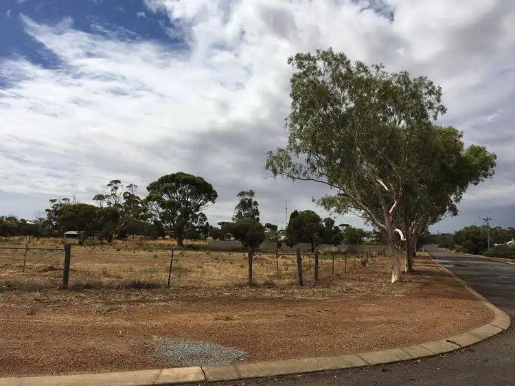 Second view of Homely house listing, Lot 172 Harris St, Dalwallinu WA 6609
