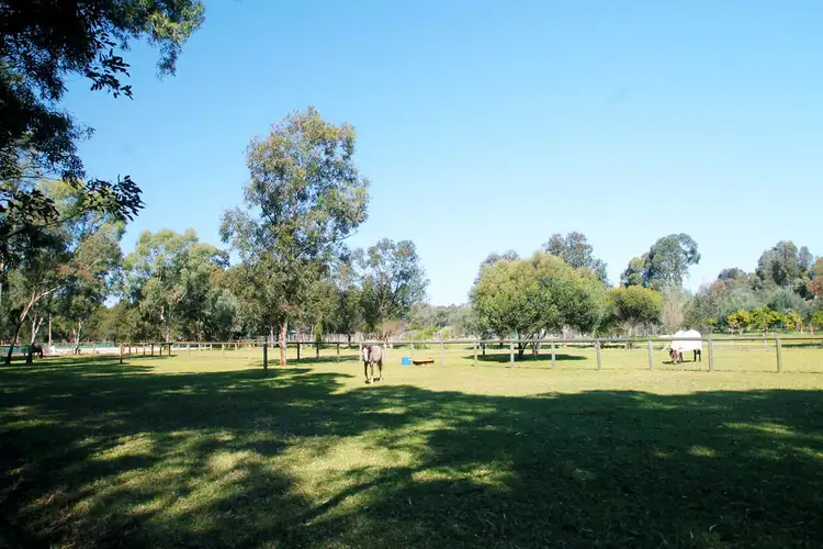 Seventh view of Homely house listing, 53 Bernborough Way, Darling Downs WA 6122