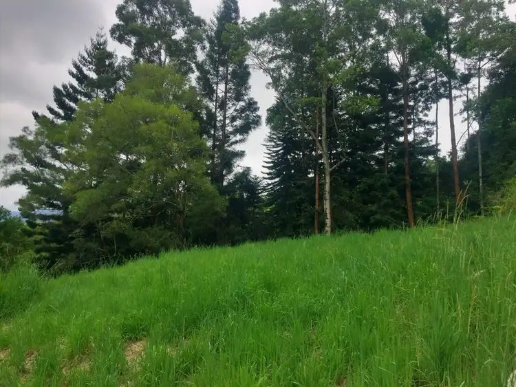 Sixth view of Homely rural property listing, 463 Wallace Road, The Channon NSW 2480