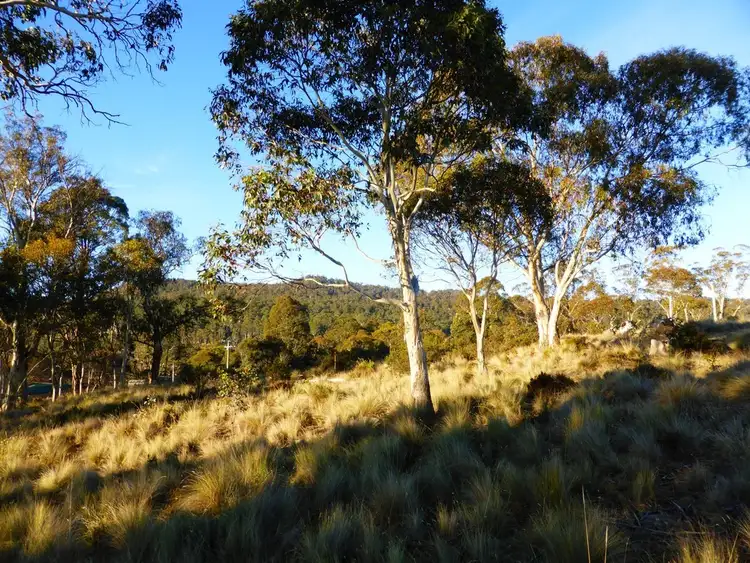 Fifth view of Homely land listing, 25 Bronte Estate Road, Bronte Park TAS 7140