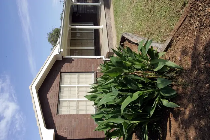Third view of Homely house listing, 30 Drummond Street, Leeton NSW 2705