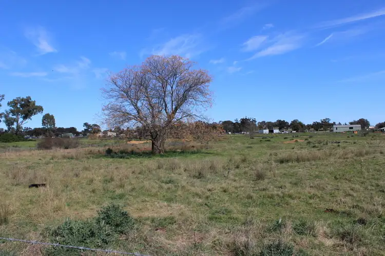 Lot 1039 Trungly Hall Road, Temora NSW 2666