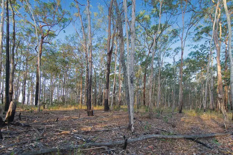 Second view of Homely land listing, 467 Gold Coast-Springbrook Road, Mudgeeraba QLD 4213
