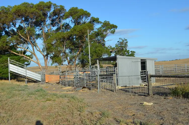 Second view of Homely rural property listing, 1451 Broadview Road, Padthaway SA 5271