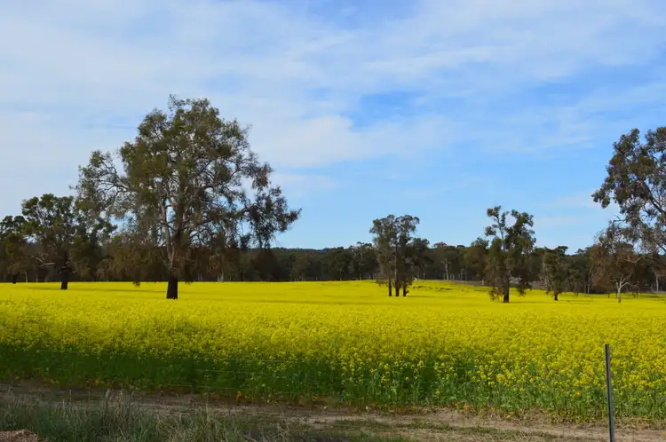 Third view of Homely rural property listing, L101 BOYUP BROOK-ARTHUR ROAD, Trigwell WA 6244