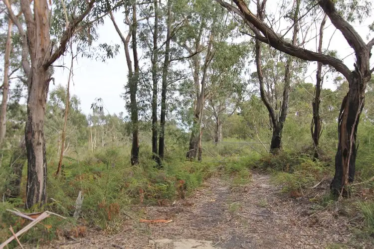 Second view of Homely rural property listing, 4445 South Gippsland Hwy, Stradbroke VIC 3851