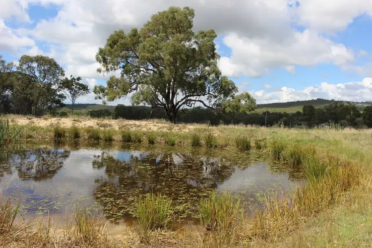 Seventh view of Homely land listing, Lot 3 Holleys Lane, Tenterfield NSW 2372