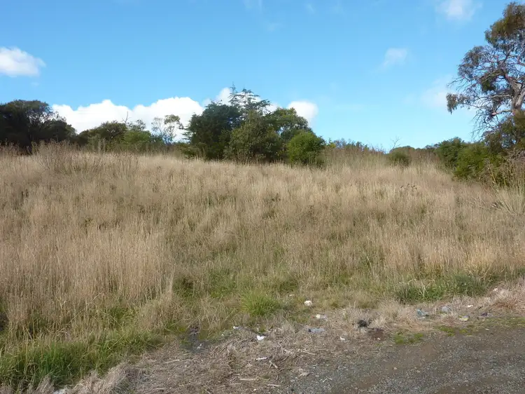 Lot 1 Tasman Highway, Orielton TAS 7172