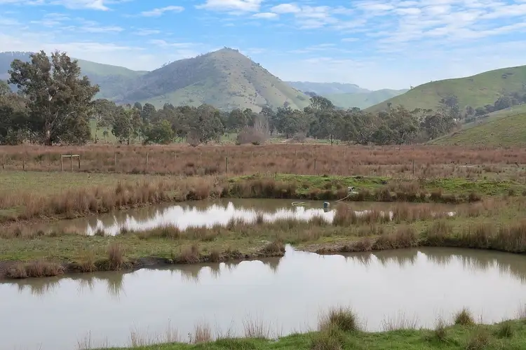 Sixth view of Homely house listing, 546 Springvalley Road, Flowerdale VIC 3717