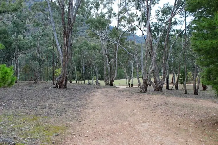 497 Maitland Bar Road, Mudgee NSW 2850