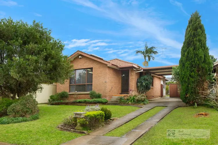 39 Cochrane Street, Minto NSW 2566