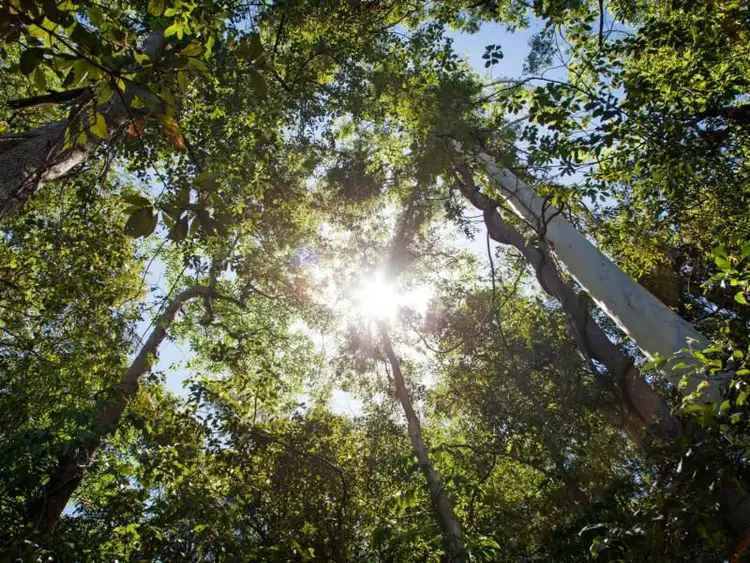 Second view of Homely land listing, L4/42 Cobbs Road, Woombye QLD 4559