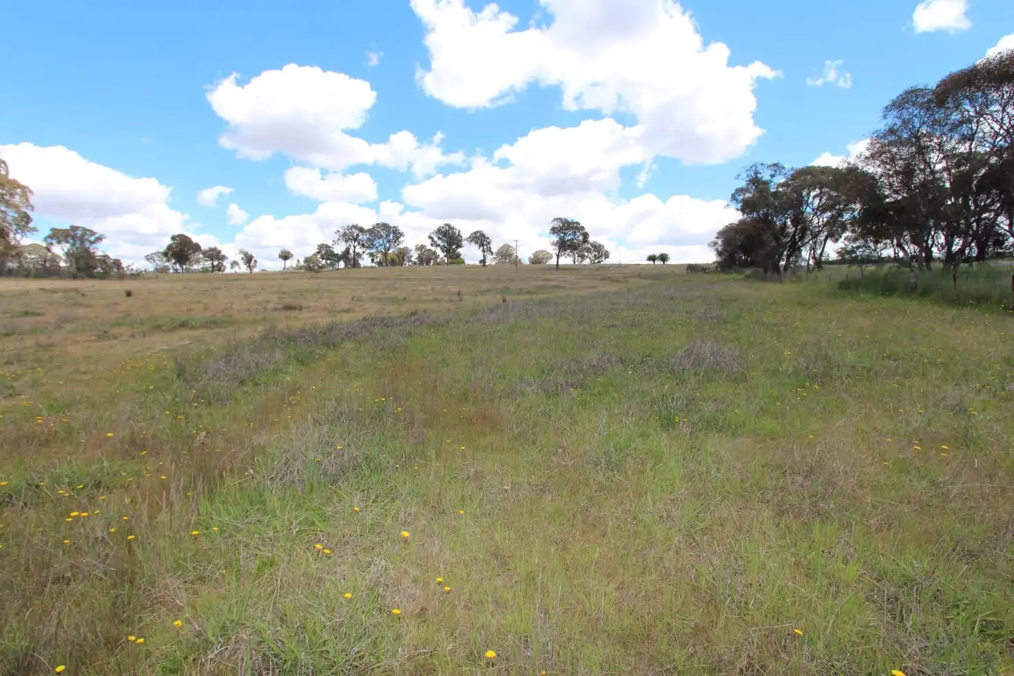 Main view of Homely rural property listing, 2097 Mitchell Highway, Vittoria NSW 2799