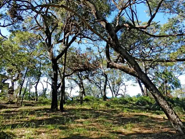 Fourth view of Homely land listing, Lot 48 Bloodwood Ave Sth Sunrise, Agnes Water QLD 4677