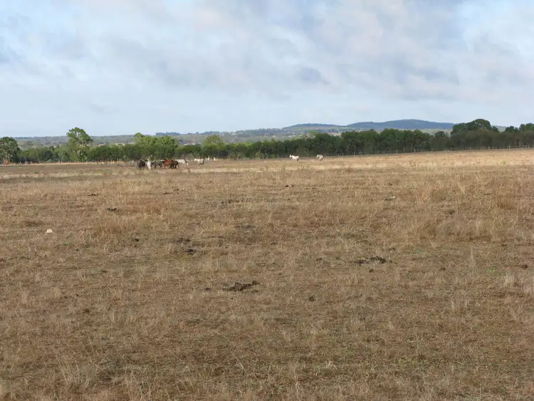 Sixth view of Homely rural property listing, Lot 50 Frankland Cranbrook Rd, Cranbrook WA 6321