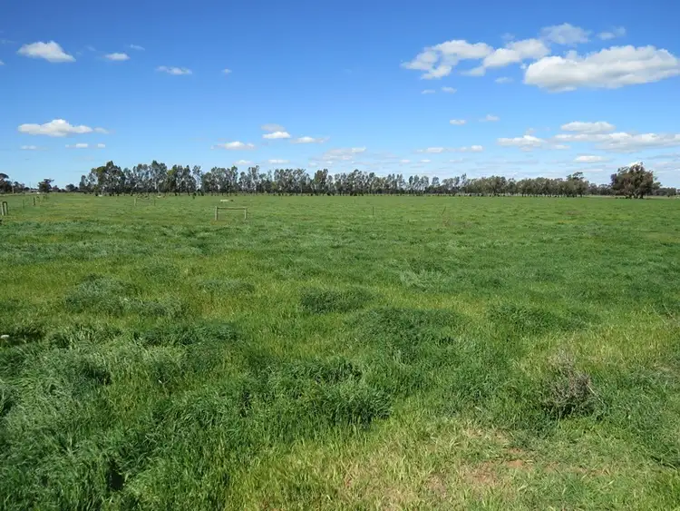 Fifth view of Homely rural property listing, 193 Allens Road, Numurkah VIC 3636